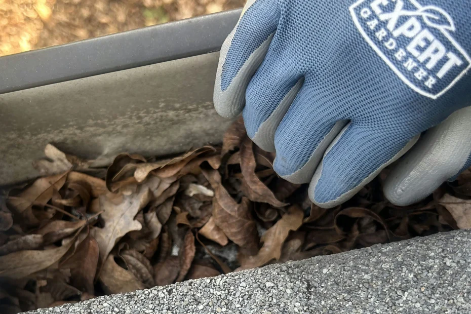 Gutter Cleaning Claymont