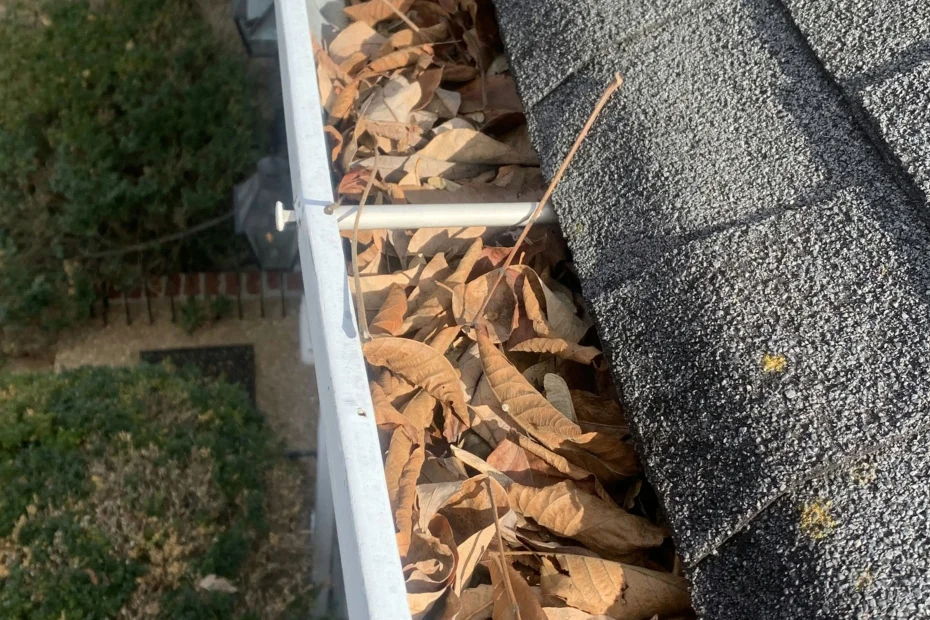 Gutter Cleaning Claymont