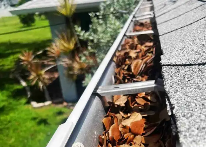 Gutter Cleaning Claymont home page